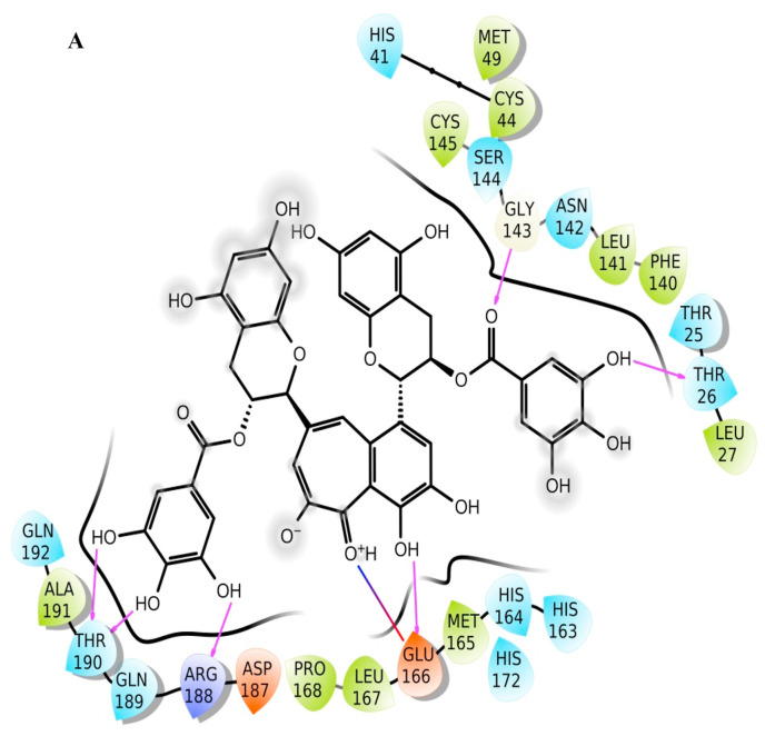 Fig. 1a