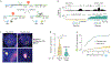 Fig. 3 |