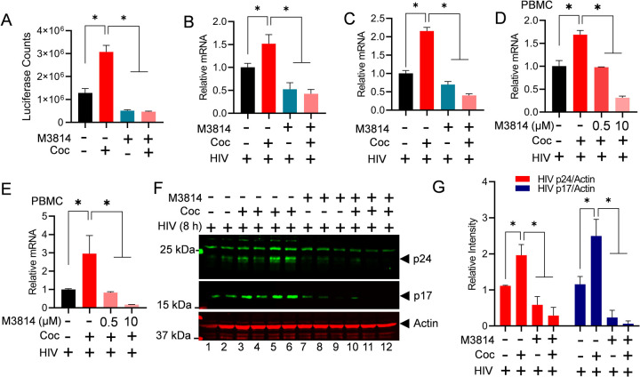 Figure 5: