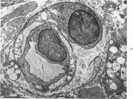 Fig. 17