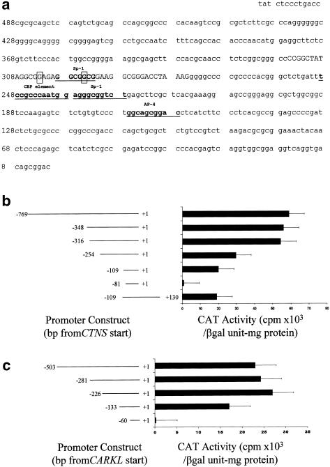 Figure  1