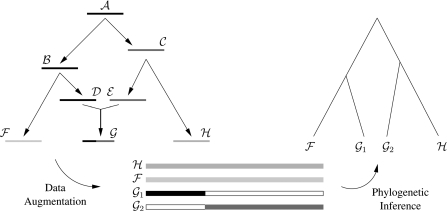 Fig. 1.