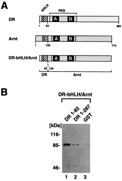 FIG. 6