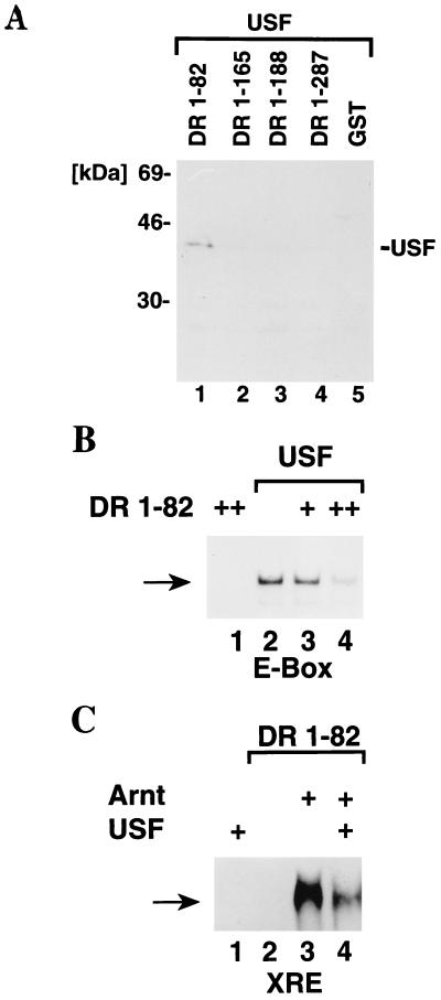 FIG. 7