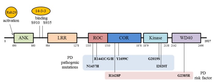 Fig. 1