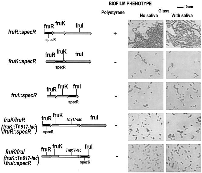 FIG. 8.