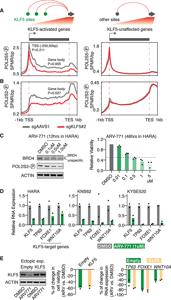 Figure 5: