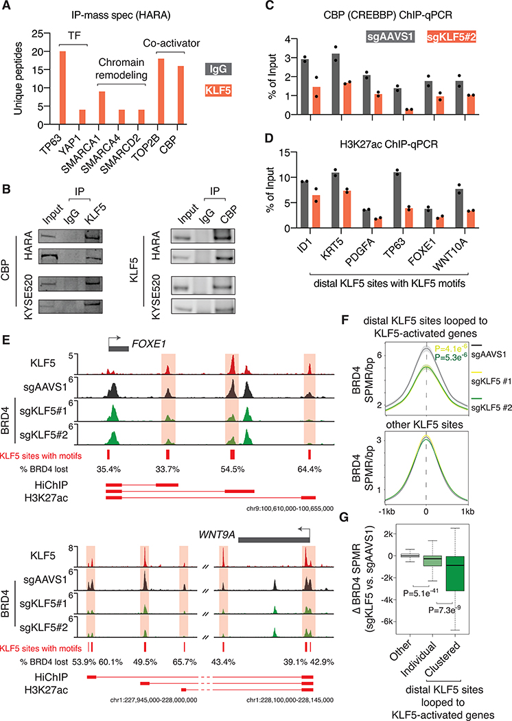 Figure 4: