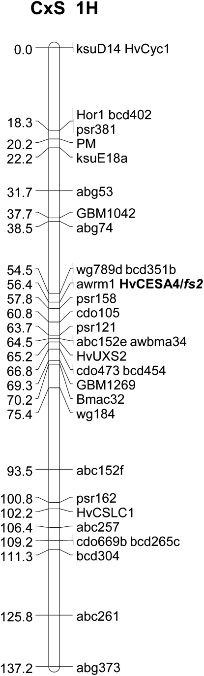 Figure 5.