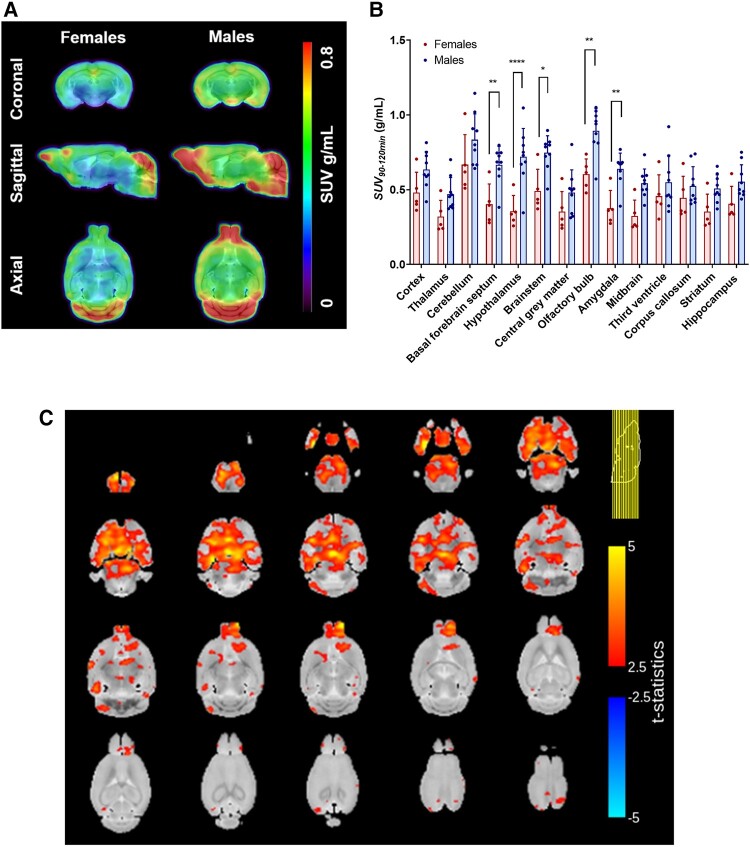 Figure 2