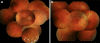 Fig. 3