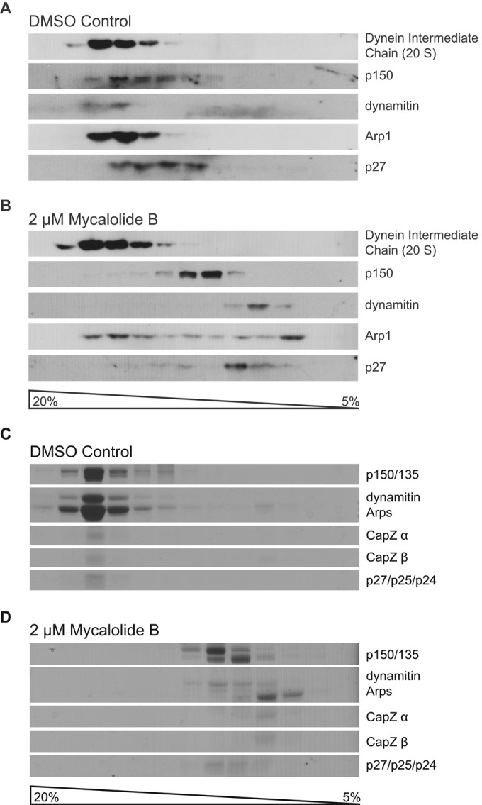 FIGURE 6: