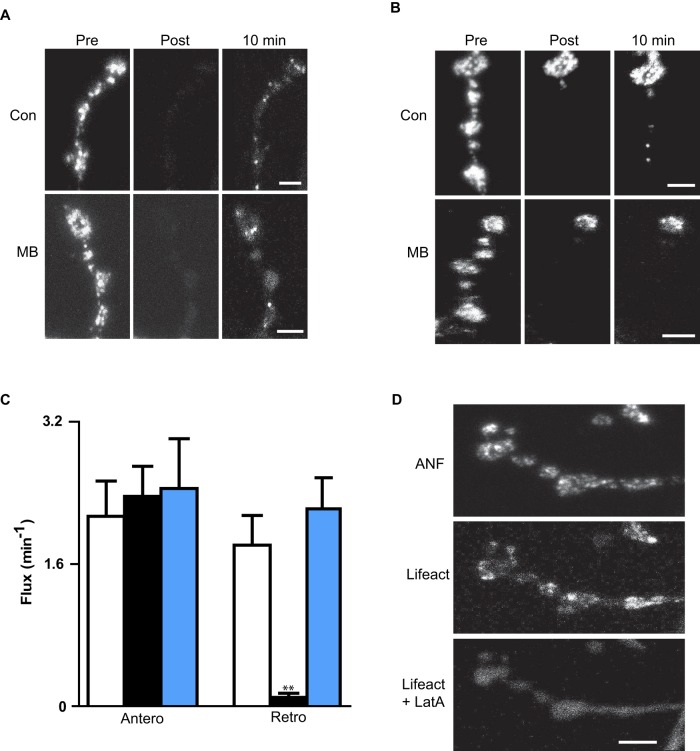 FIGURE 4: