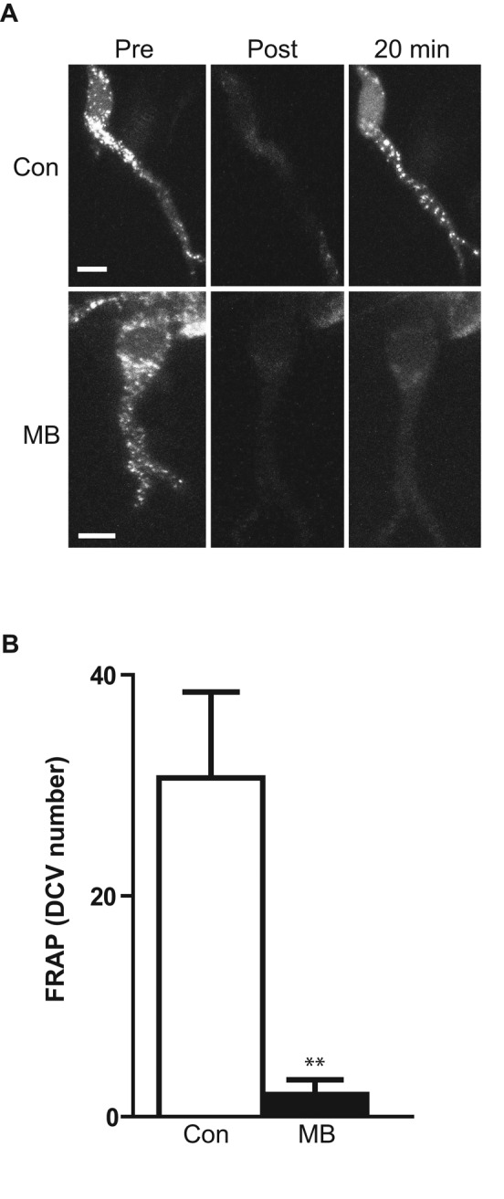 FIGURE 1: