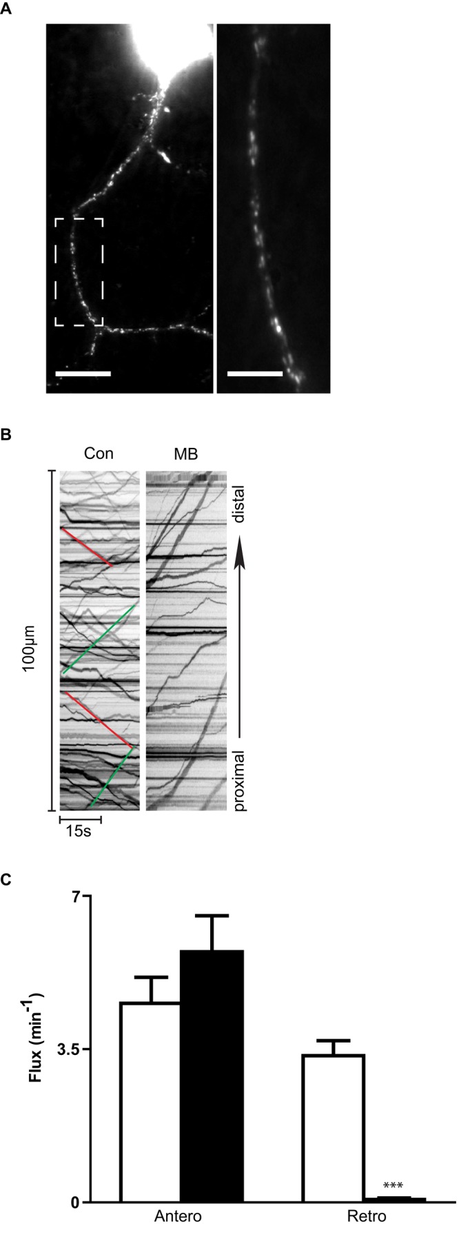 FIGURE 2: