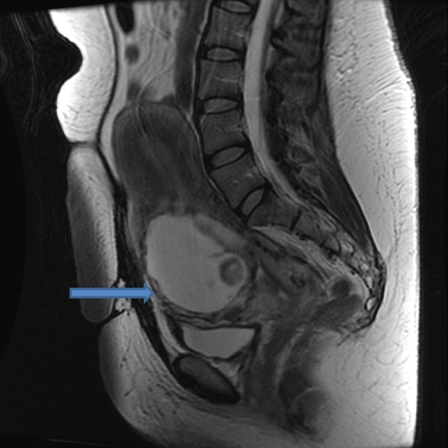 Fig. 7