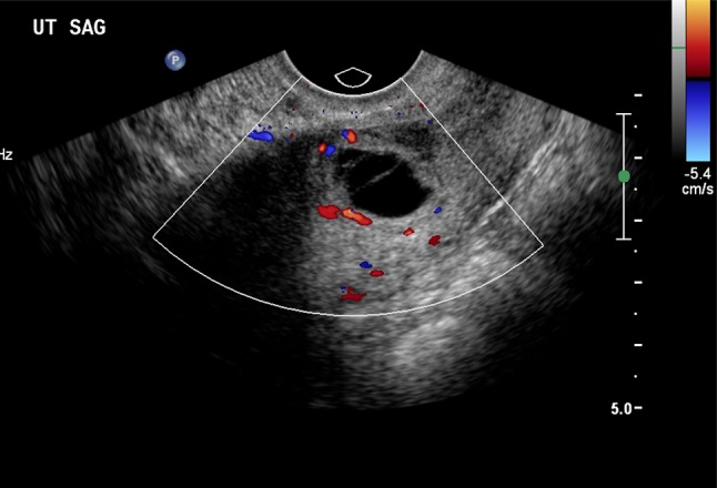 Fig. 5