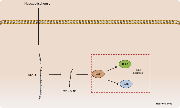 Figure 6