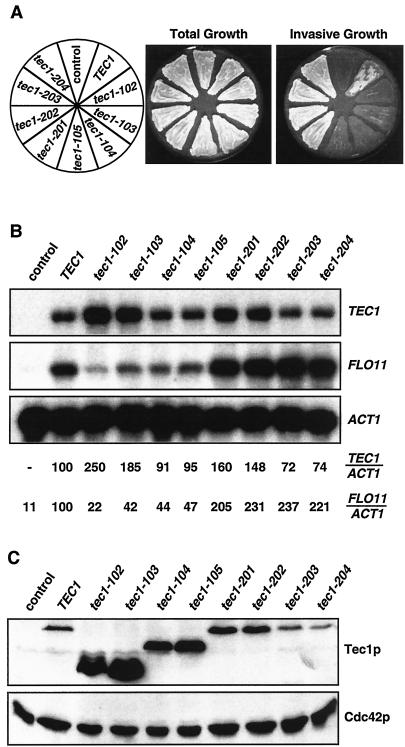 FIG. 6.