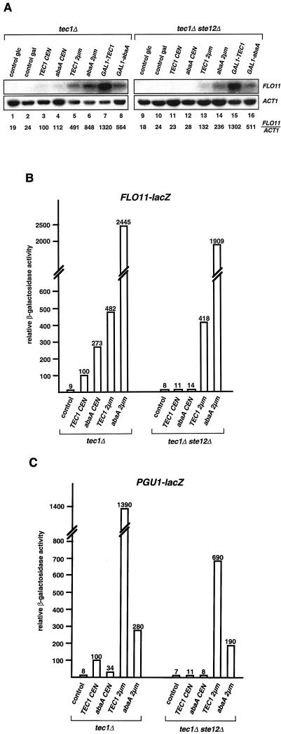 FIG. 4.