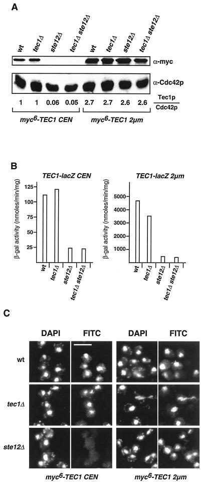 FIG. 3.