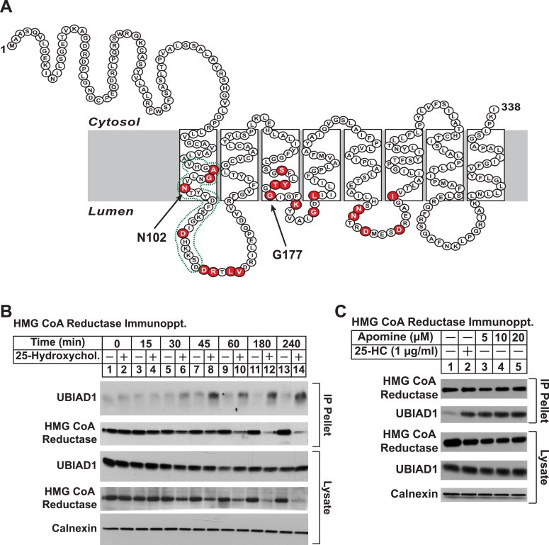 Figure 3.