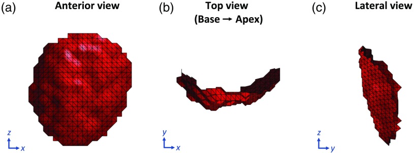 Fig. 7