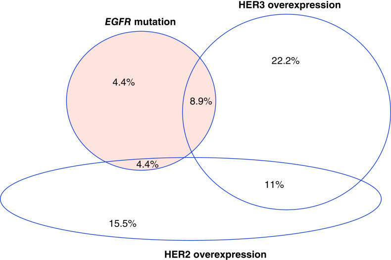 Figure 2. 