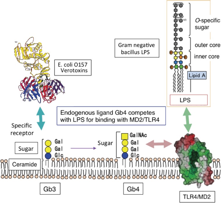 Figure 3. 