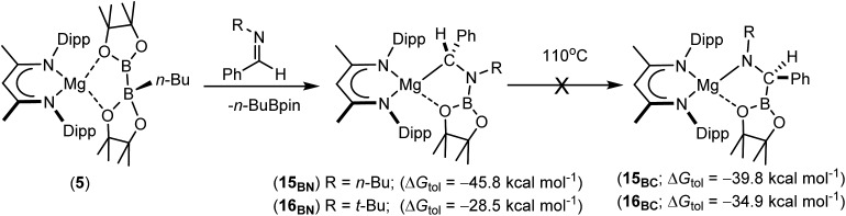 Scheme 4