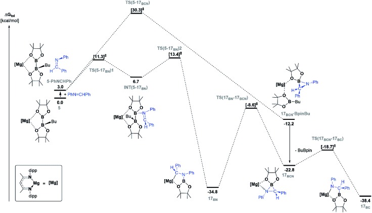 Fig. 5