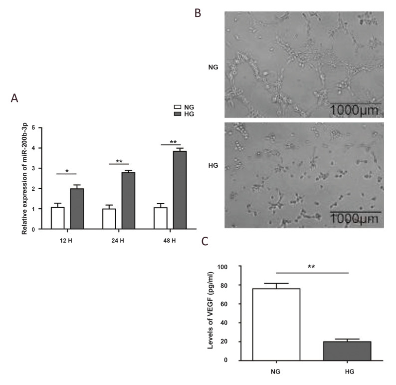 Fig.1