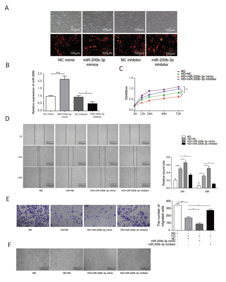 Fig.2