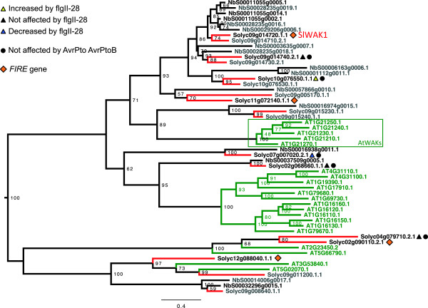 Figure 6