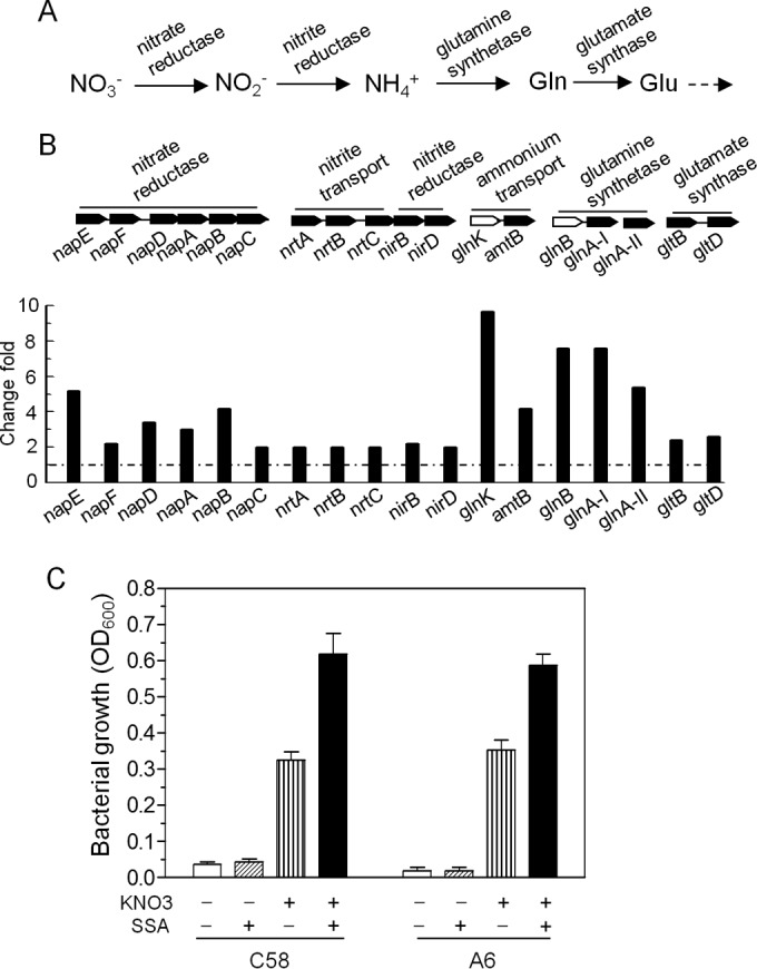 FIG 3