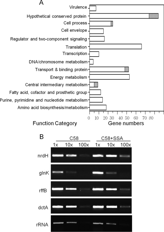 FIG 1