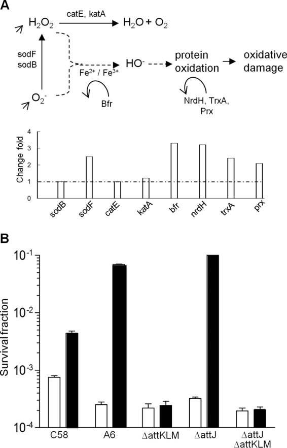 FIG 6