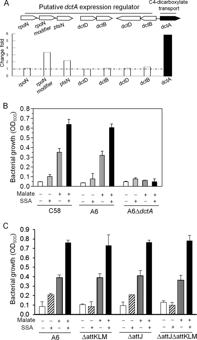 FIG 2