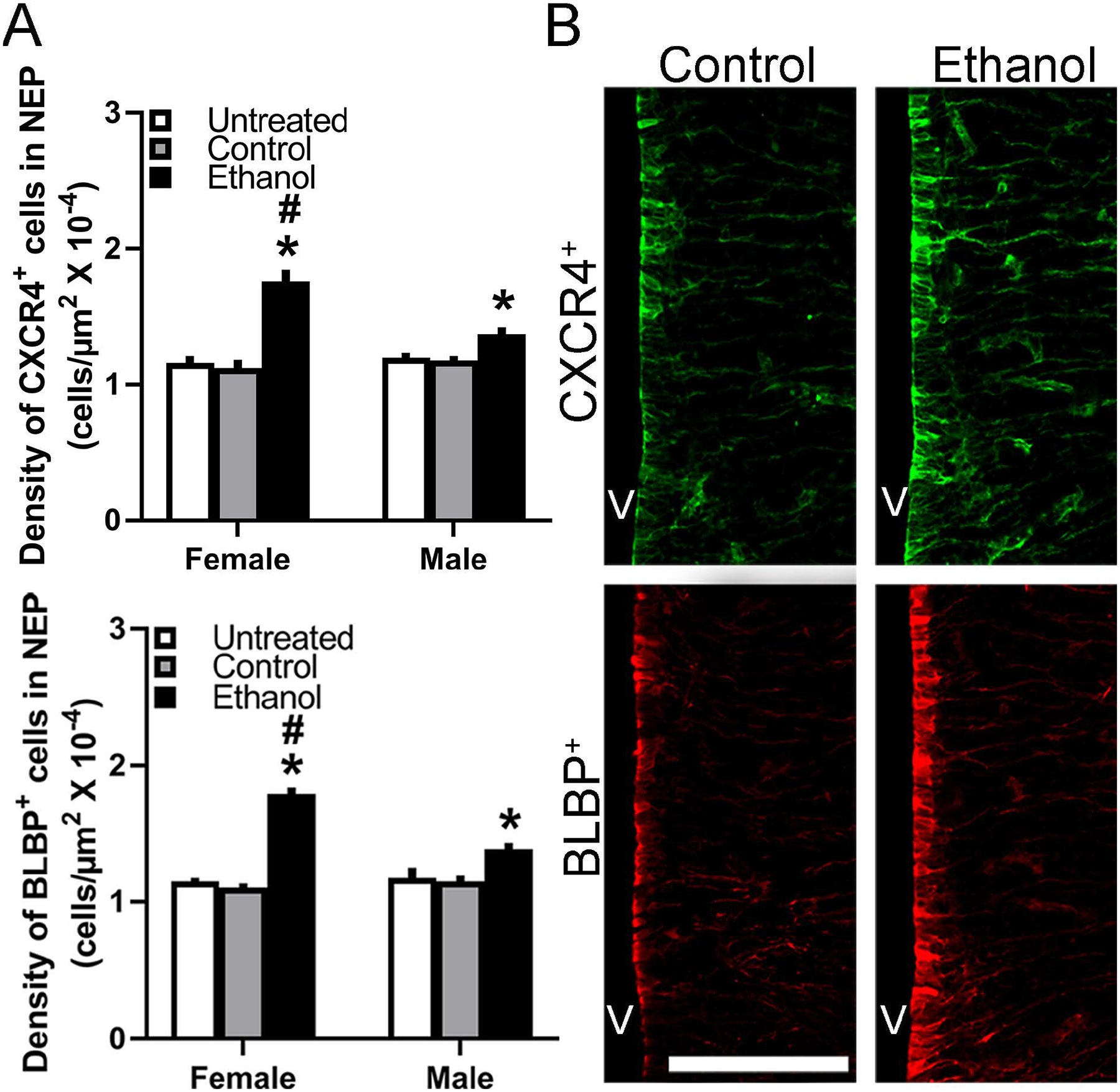 Figure 6: