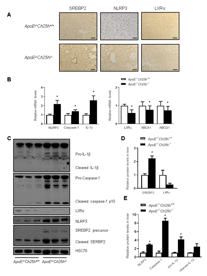 
Figure3
