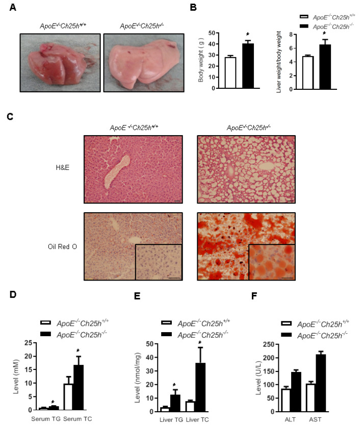 
Figure1
