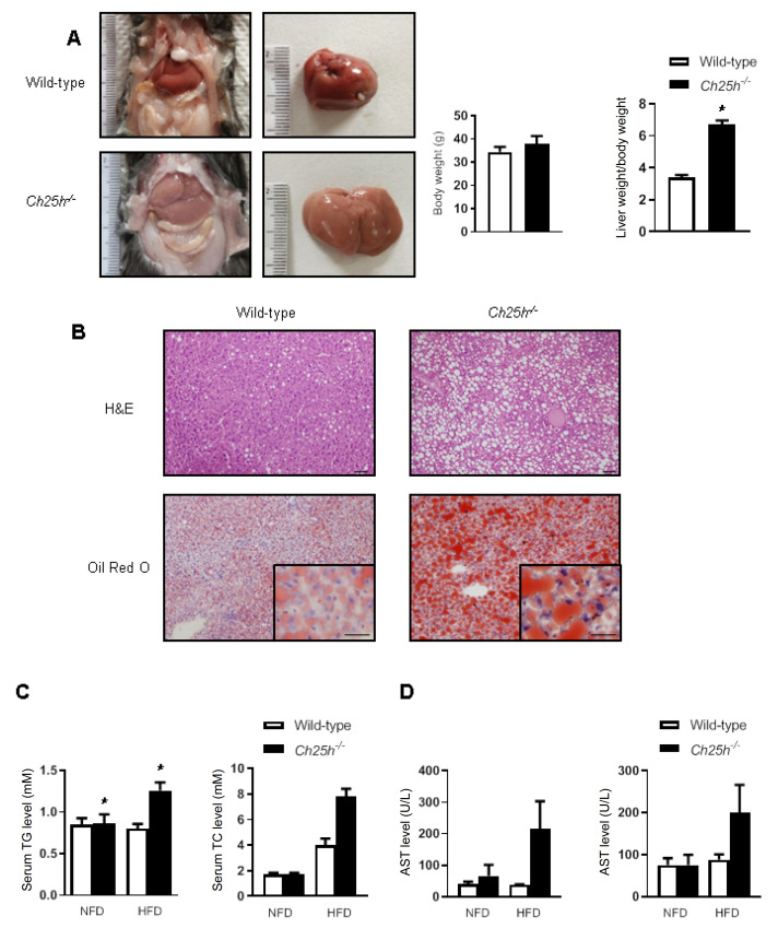 
Figure2
