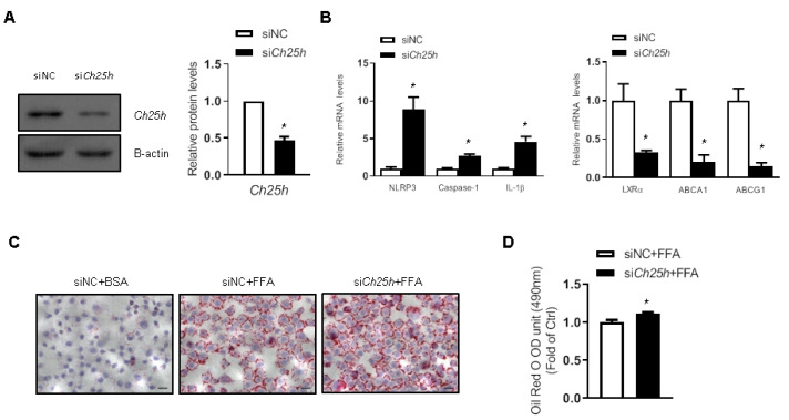 
Figure4
