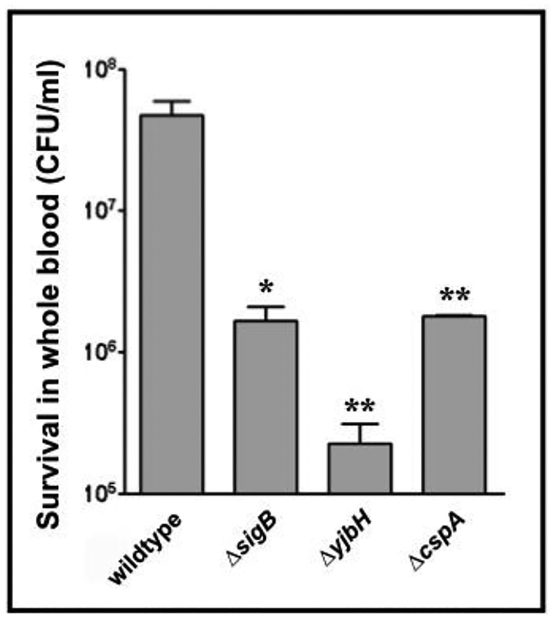 Figure 11: