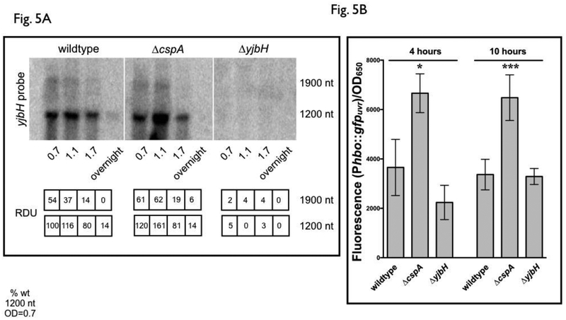 Figure 5: