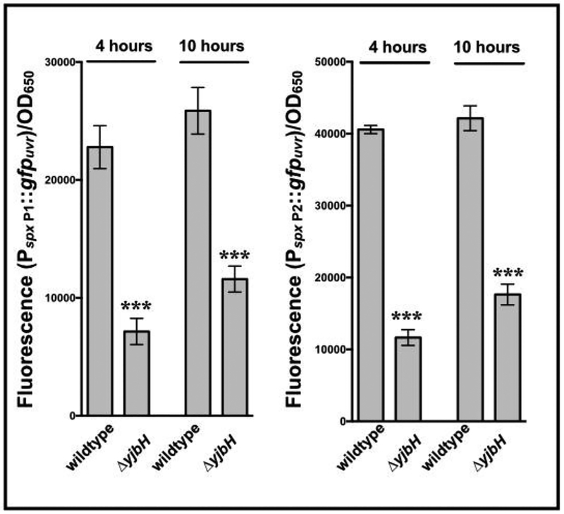 Figure 7: