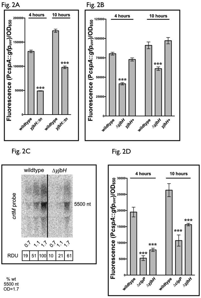 Figure 2: