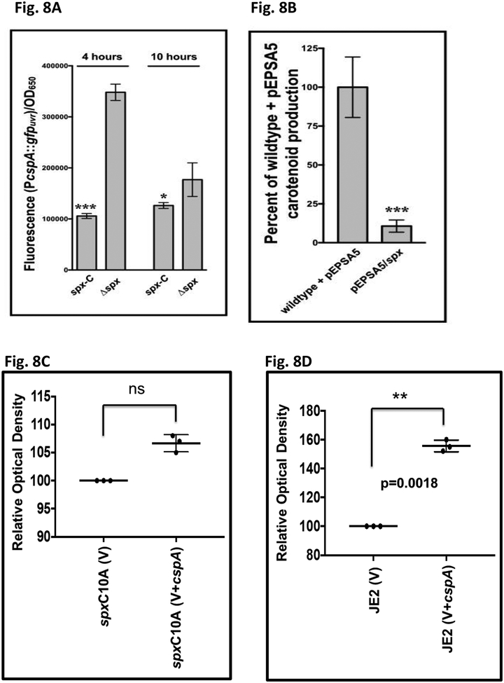 Fig. 8: