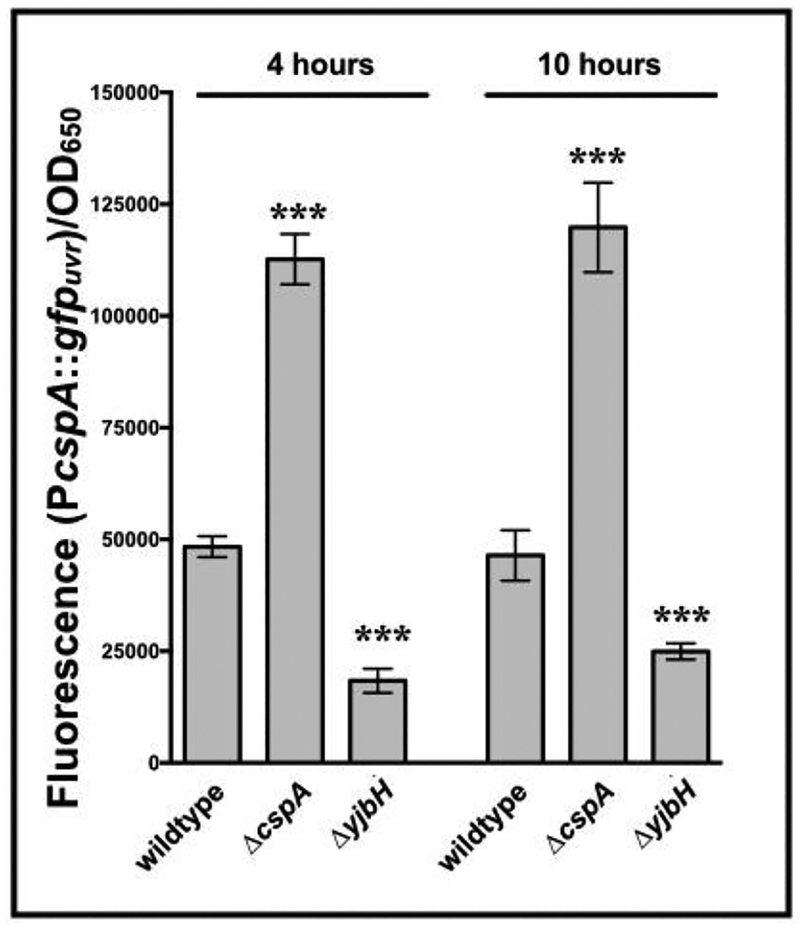 Figure 3: