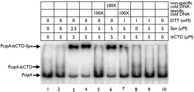 Figure 9: